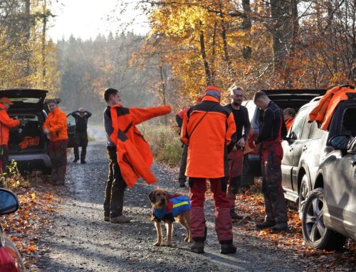 Stöbergruppe Segusier vom Sohlberg