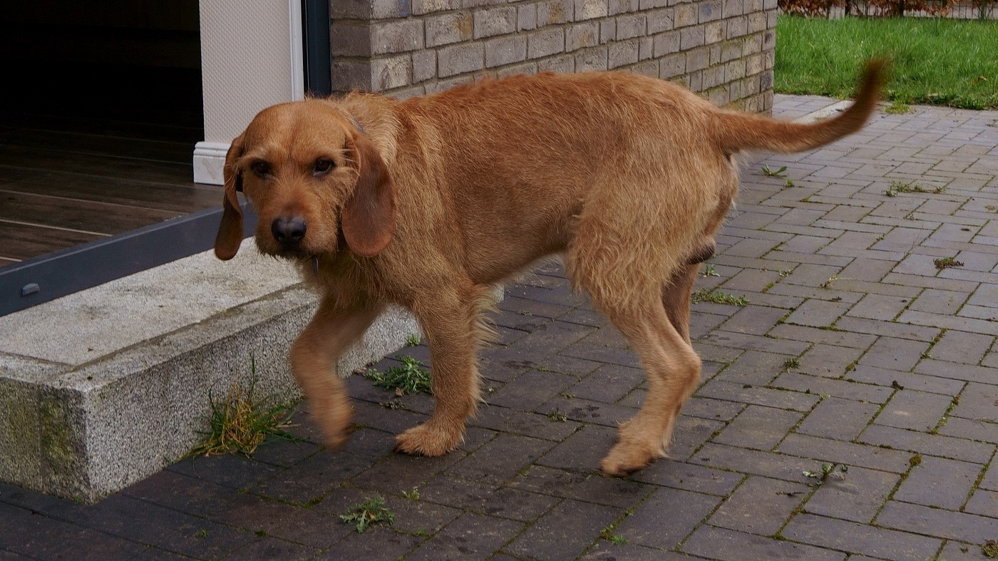 Ich schleich mich weg1400